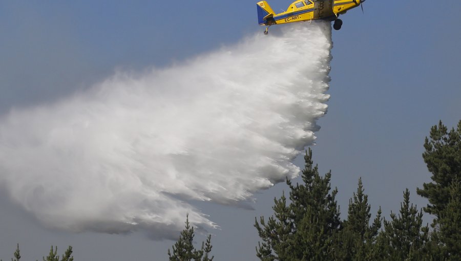 Avión contratado por Conaf capotó en Hualqui mientras combatía incendio forestal