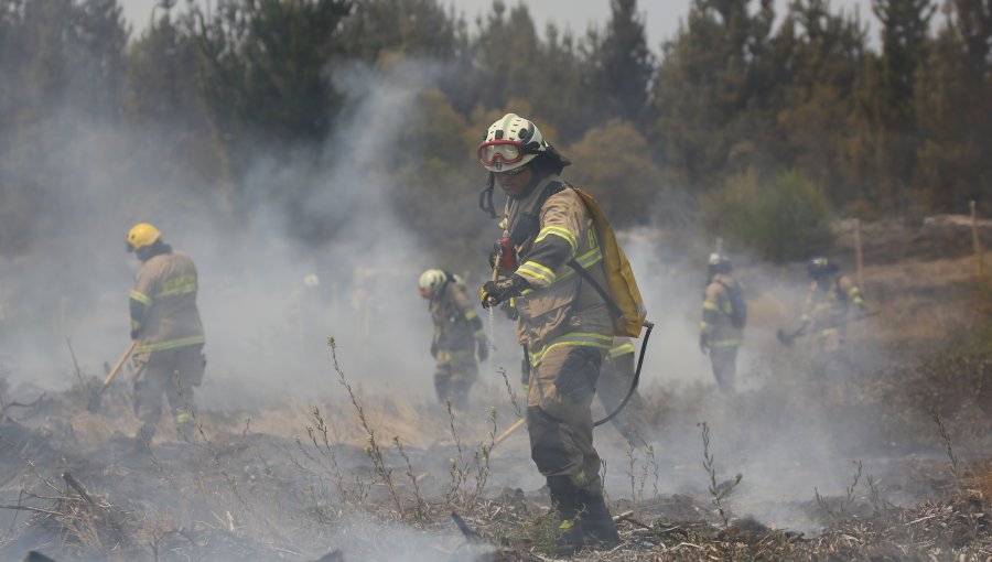 Máquina agrícola en mal estado causó incendio forestal en Panguipulli