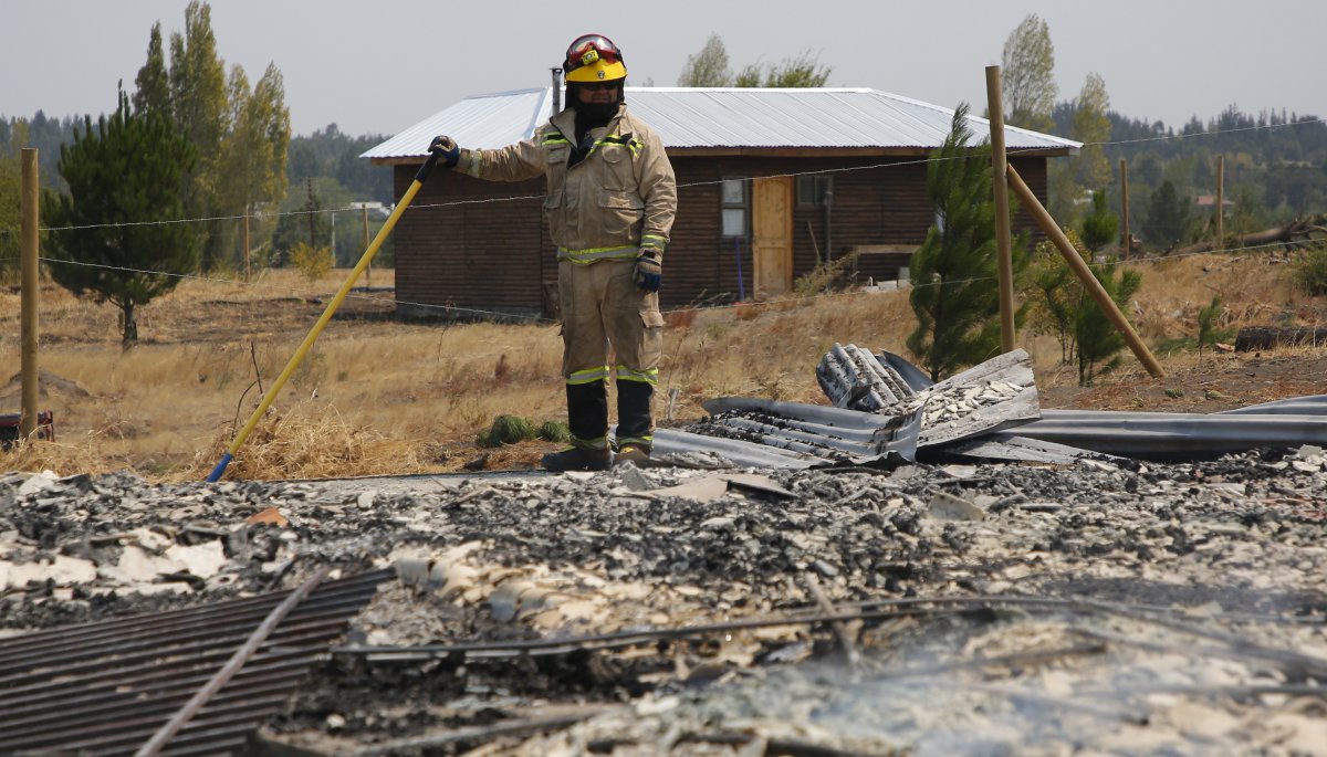 Catastrófico Balance De Indap Tras Incendios Se Han Perdido Mil Hectáreas De Cultivo Más De 4 8764