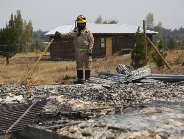 Catastrófico balance de Indap tras incendios: Se han perdido mil hectáreas de cultivo más de 4 mil animales y 9 mil colmenas