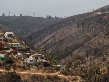 Reconstrucción tras megaincendio en Viña: Gobierno se reúne con empresas y ONGs para canalizar apoyos a damnificados