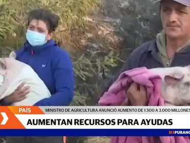 Ministro Valenzuela anuncia duplicación del presupuesto para enfrentar la emergencia por incendios forestales y alcanza los $3 mil millones