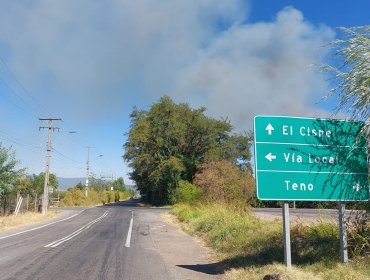 Ordenan evacuar sector poblado de la comuna de Teno ante peligrosidad de incendio forestal