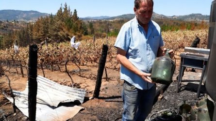 Comenzó entrega de beneficios a afectados por incendios: se condonarán cuentas de agua y luz