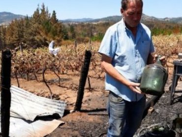 Comenzó entrega de beneficios a afectados por incendios: se condonarán cuentas de agua y luz