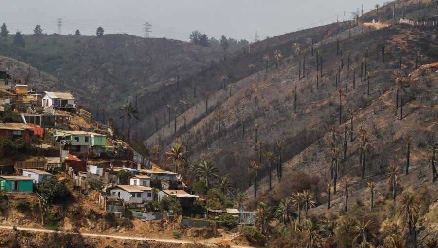 Reconstrucción tras megaincendio en Viña: Gobierno se reúne con empresas y ONGs para canalizar apoyos a damnificados