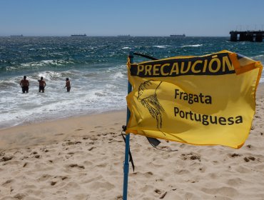 Presencia de fragata portuguesa obliga a cerrar playas en la región de Valparaíso