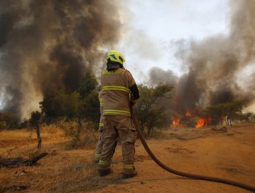 Bomberos franceses aterrizan en Chile para ayudar a combatir incendios forestales en la zona centro-sur