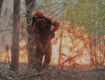 Decretan alerta temprana preventiva en 3 provincias de la región de Valparaíso por amenaza de incendios forestales