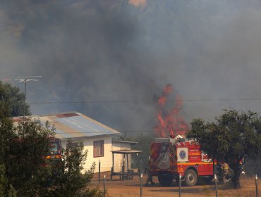 Confirman muerte de brigadista de Conaf que combatía incendios forestales en Angol