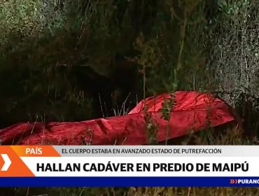 Encuentran cadáver en predio agrícola del sector Rinconada de Maipú
