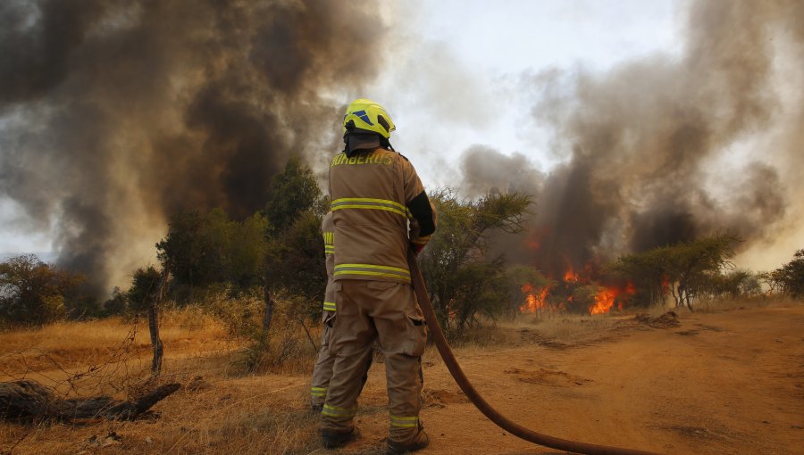 Bomberos franceses aterrizan en Chile para ayudar a combatir incendios forestales en la zona centro-sur