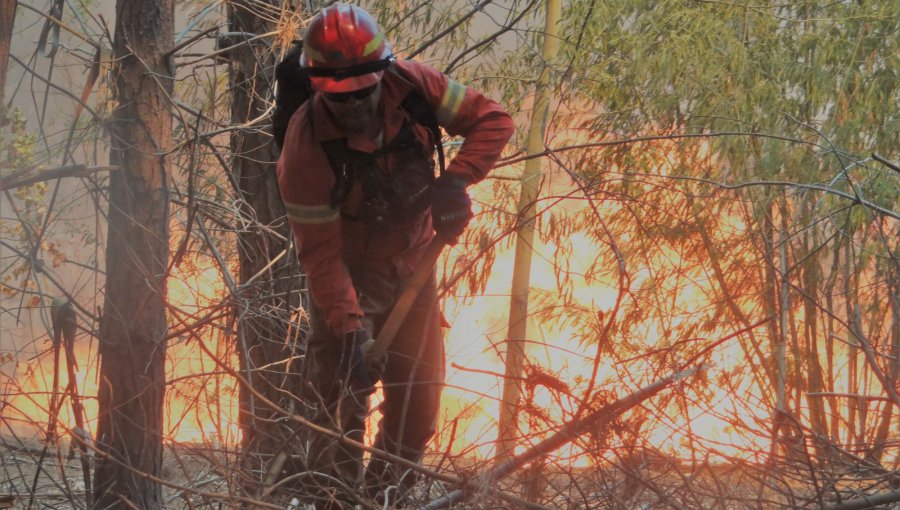 Decretan alerta temprana preventiva en 3 provincias de la región de Valparaíso por amenaza de incendios forestales