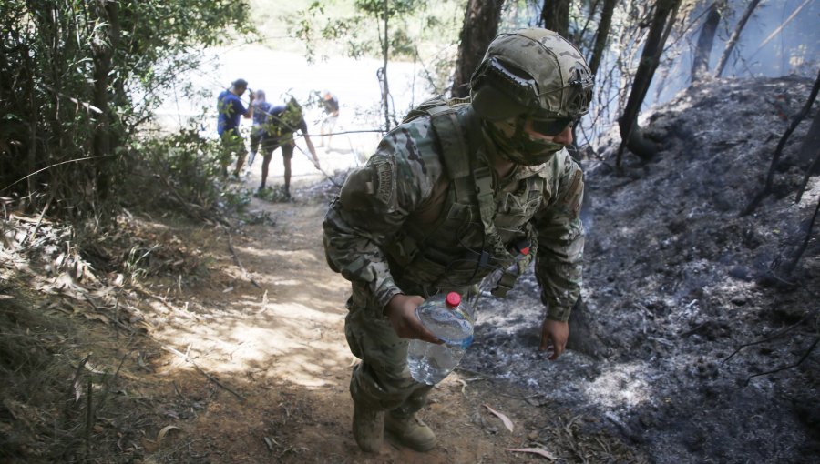 Adolescente fue hallada con vida en incendio forestal de Coelemu