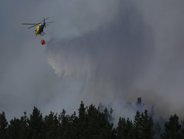 244 incendios forestales se mantienen activos en el país: cifra de damnificados asciende a 7 mil personas