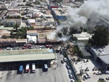 Incendio consumió local comercial frente al terminal de buses de La Ligua