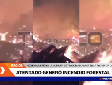 Ataque incendio de maquinaria en Cautín provocó incendio forestal