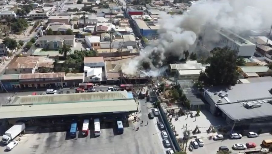Incendio consumió local comercial frente al terminal de buses de La Ligua