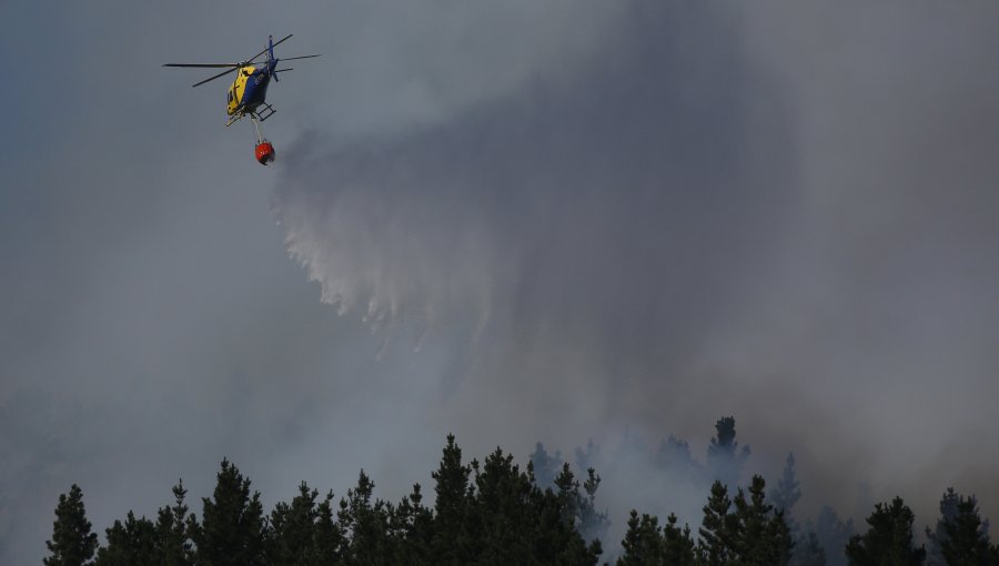 244 incendios forestales se mantienen activos en el país: cifra de damnificados asciende a 7 mil personas