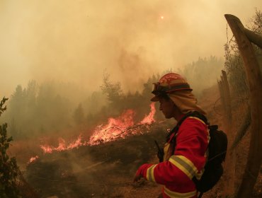 53 incendios forestales se mantienen en combate a lo largo del país: fuego ha consumido más de 434 mil hectáreas