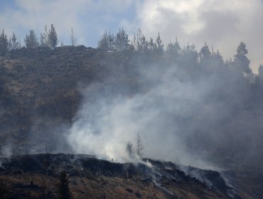 Diputados UDI buscan impulsar comisión investigadora por incendios forestales en la zona centro-sur del país