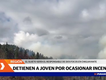 Joven fue detenido tras ser acusado por vecinos de ser el autor de un incendio forestal en Chiguayante