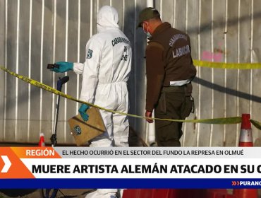 Artista plástico alemán muere por violenta golpiza durante atraco a su casa en Olmué