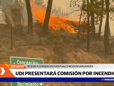 UDI presentará una Comisión Investigadora por incendios forestales