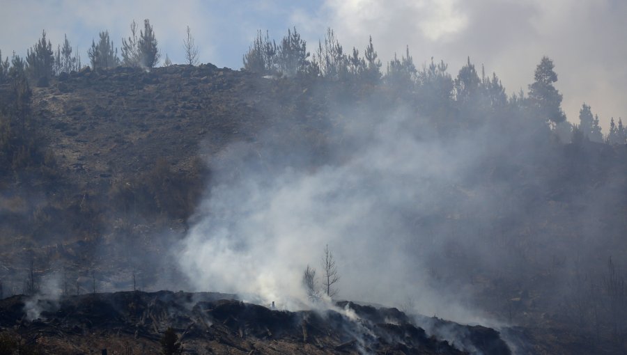 Diputados UDI buscan impulsar comisión investigadora por incendios forestales en la zona centro-sur del país