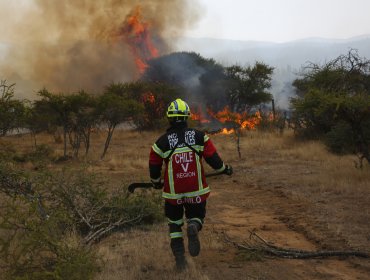 70 denuncias investiga el Ministerio Público en el marco de los incendios forestales que azotan al país