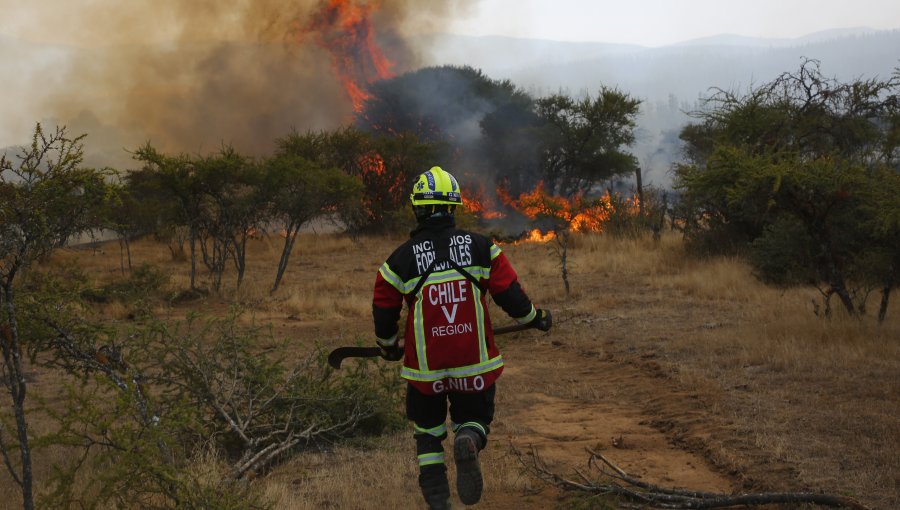 70 denuncias investiga el Ministerio Público en el marco de los incendios forestales que azotan al país