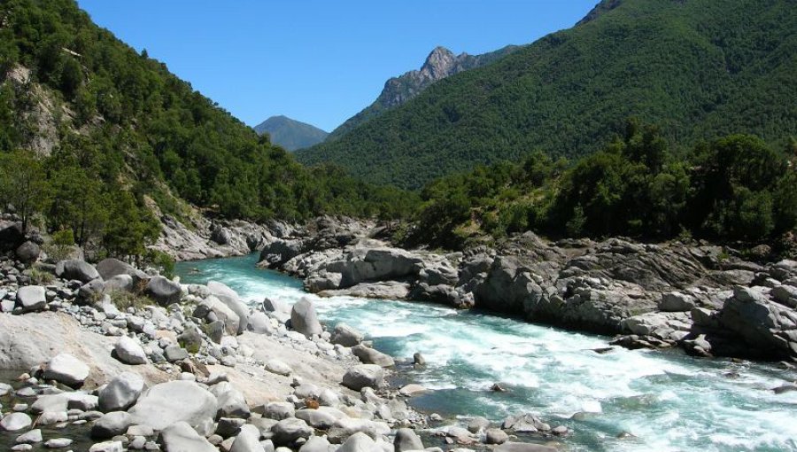 Menor de seis años falleció tras ahogarse en el río Ñuble