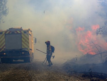 55 incendios forestales se mantienen en combate a lo largo del país: siete alertas rojas siguen vigente