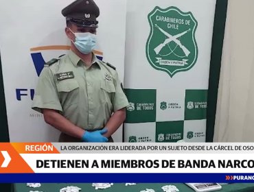 Carabineros detiene a miembros de banda narco en Osorno
