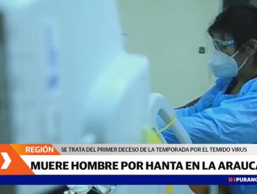 Muere hombre contagiado por virus hanta en la Araucanía