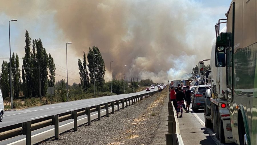 Autoridades solicitan evacuar sector de Queipul por incendio cercano a zona residencial de la comuna de Victoria