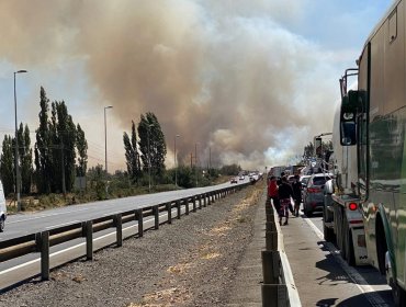 Autoridades solicitan evacuar sector de Queipul por incendio cercano a zona residencial de la comuna de Victoria