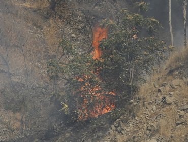 En "extrema gravedad" se encuentra joven quemado en incendio de Teodoro Schmidt