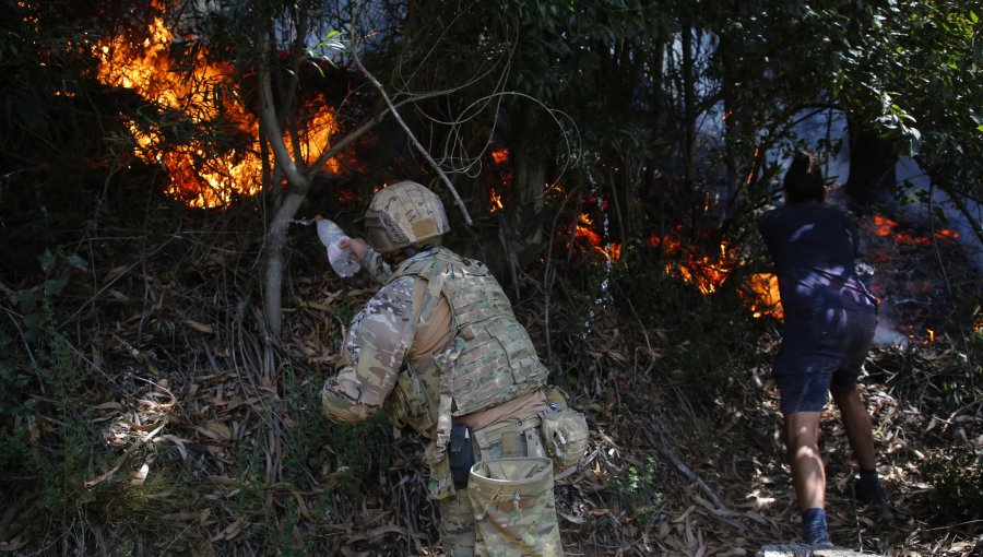 Balance por incendios forestales en el sur: Durante la noche del sábado hubo 7 nuevos focos