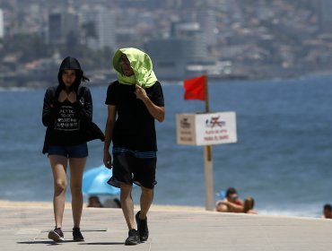 Alerta Temprana Preventiva en la región de Valparaíso por altas temperaturas que aumentan el riesgo de incendios forestales
