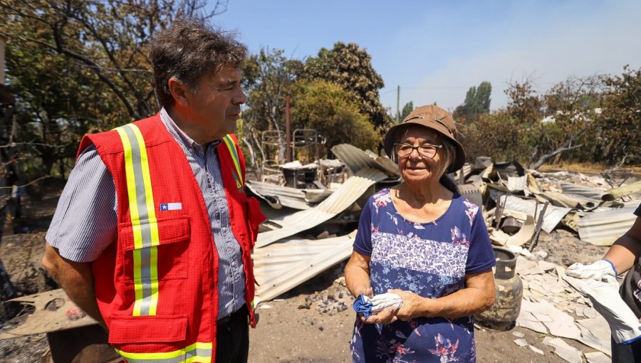 Más de 59.500 hectáreas dañadas, 10.500 animales muertos y 6.000 agricultores afectados en la región del Ñuble