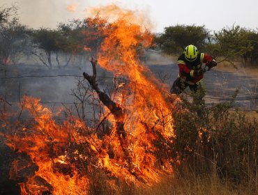 66 incendios forestales se mantienen en combate en Chile: advierten que sistema frontal en el sur disminuirá la temperatura