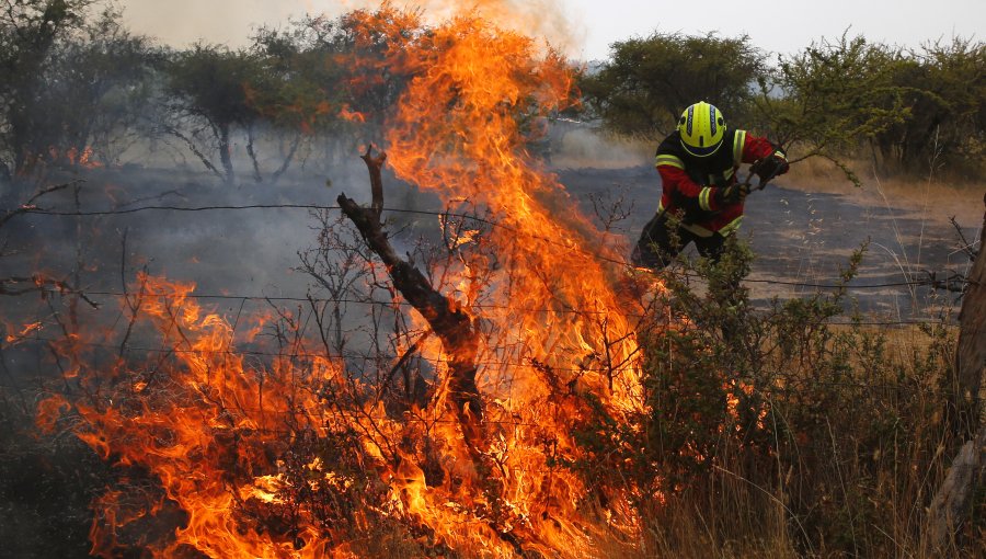 66 incendios forestales se mantienen en combate en Chile: advierten que sistema frontal en el sur disminuirá la temperatura
