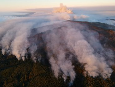 Balance de incendios forestales en Chile: 66 se mantienen en combate, 451 mil hectáreas consumidas y 2.019 casas afectadas