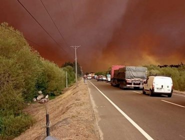 Tránsito en la Ruta de la Madera fue suspendido por propagación de incendios forestales en Biobío