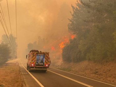 Ordenan la evacuación de otros dos sectores poblados ante avance del incendio «Santa Ana» en la comuna de Coronel