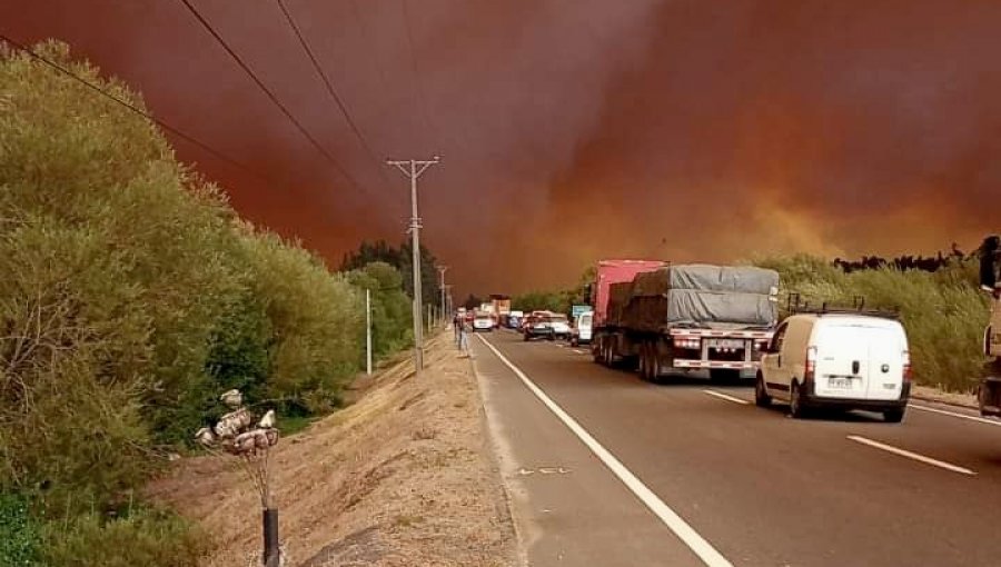 Tránsito en la Ruta de la Madera fue suspendido por propagación de incendios forestales en Biobío