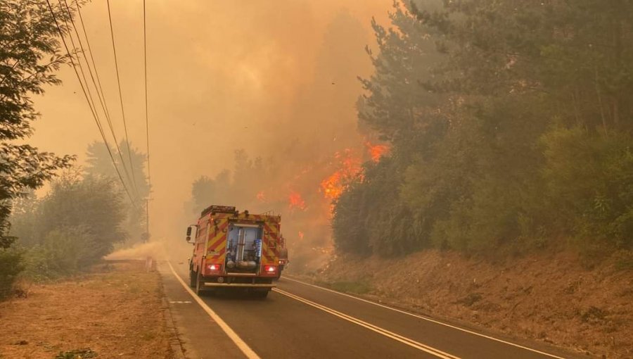 Ordenan la evacuación de otros dos sectores poblados ante avance del incendio «Santa Ana» en la comuna de Coronel