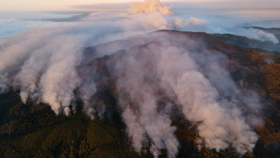 Balance de incendios forestales en Chile: 66 se mantienen en combate, 451 mil hectáreas consumidas y 2.019 casas afectadas