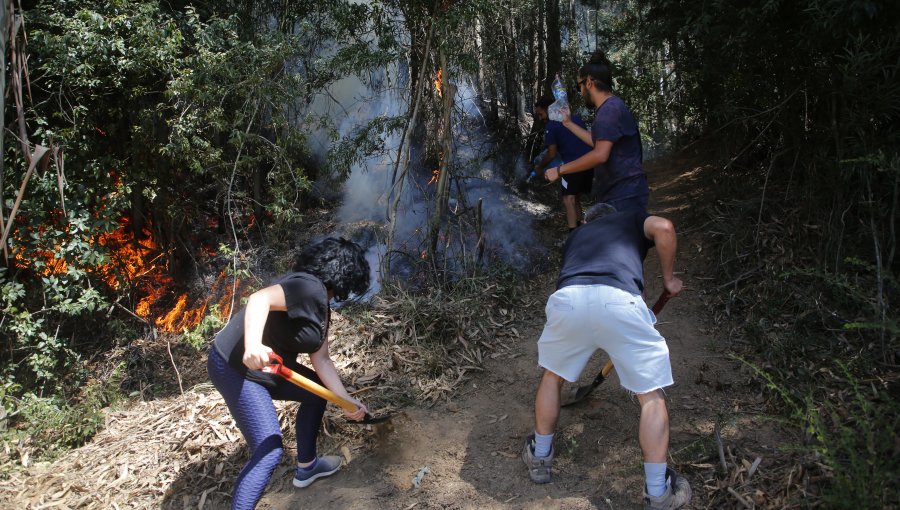 44 personas han sido detenidas por sospechas de participar en inicio de incendios forestales en el país